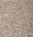 Vermiculite used in potting plants Royalty Free Stock Photo