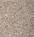 Vermiculite used in potting plants Royalty Free Stock Photo