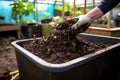 vermiculture compost bin brimming with rich organic matter