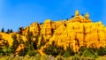 The Vermilion Colored Hoodoos of the Red Sandstone mountains in Red Canyon Park of Dixie National Forest in Utah