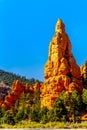 The Vermilion Colored Hoodoos of the Red Sandstone mountains in Red Canyon State Park, Utah