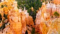 The Vermilion Colored Hoodoos at Sunset Point of Bryce Canyon National Park, Utah