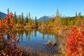 Vermilion lakes in Alberta, Canada near Banff city. Royalty Free Stock Photo