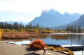 Vermilion lakes landscape in Banff national park with view of the Sulphur mountain