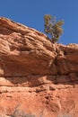 Vermillion Cliffs National Monument Royalty Free Stock Photo