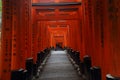 Vermillion torii gates of Fushimi Inari-taisha Shrine, Southern Kyoto, Japan Royalty Free Stock Photo