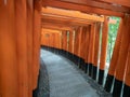 Vermillion torii gates at Fushimi Inari temple in Kyoto, Japan Royalty Free Stock Photo