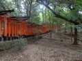 Vermillion torii gates at Fushimi Inari temple in Kyoto, Japan Royalty Free Stock Photo