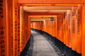 Torii path at Fushimi Inari Taisha Shrine in Kyoto, Japan