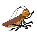 Vermin cockroach icon cartoon vector. Brown pest