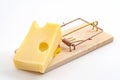 Vermin and pest control conceptual idea mouse trap used to catch a mouse with cheese as bait isolated on white background Royalty Free Stock Photo