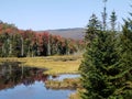 Vermont fall day