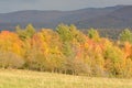 Vermont Fall Foliage, Mount Mansfield, Vermont Royalty Free Stock Photo