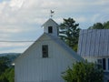 Vermont horse weathervane Royalty Free Stock Photo