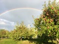 Vermont rest area rainbow