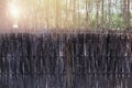 Vernacular architecture detail image show old wooden lattice panel fence with tropical forest background.