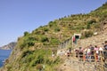 Vernazza, 28th august: Group of Tourists on the hill with terraced vineyard of Vernazza village resort from Cinque Terre in Italy