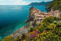 Vernazza village view from the flowery slope, Liguria, Italy