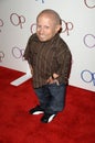 Verne Troyer