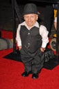 Verne Troyer