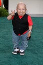 Verne Troyer