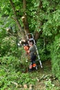 Verneuil sur Seine; France - june 22 2020 : a gardener is pruning a tree