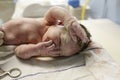 Vernix covered newborn Royalty Free Stock Photo