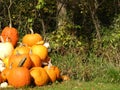 Oneida Lake Verona Beach October pumpkin pile