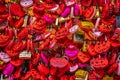 Verona, Italy - March 15, 2019: Juliet house, red locks with inscriptions and wishes on wall with chewing gum Royalty Free Stock Photo