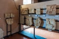 Fragments of decoratively decorated stone gravestones at an exhibition in the Museo Lapidario Maffeiano in Verona, Italy