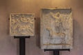 Fragments of decoratively decorated stone gravestones at an exhibition in the Museo Lapidario Maffeiano in Verona, Italy