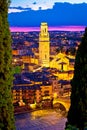 Verona towers and rooftops evening vertical view