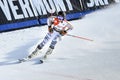 Veronique Hronek of Germany in the finish area after the second run of the giant slalom Royalty Free Stock Photo