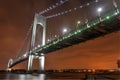 Verrazano Narrows Bridge at Night Royalty Free Stock Photo