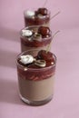 Verrines with jelly cherry, chocolate mousse and duo chocolate