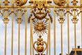 Fragment of the gilded fence of the Palace of Versailles, France Royalty Free Stock Photo