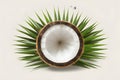 Versatile coconut design element isolated on white for customization