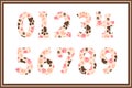Versatile Collection of Dog Paw Numbers for Various Uses