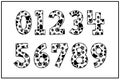 Versatile Collection of Dog Paw Numbers for Various Uses