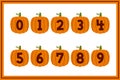 Versatile Collection of Pumpkin Numbers for Various Uses