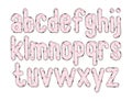 Versatile Collection of Valentina Alphabet Letters for Various Uses