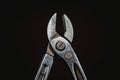 Versatile Construction Tool: Open-Jaw Pliers Royalty Free Stock Photo