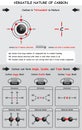 Versatile Nature of Carbon Infographic Diagram