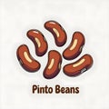 Versatile Pinto Bean Vector Art Royalty Free Stock Photo