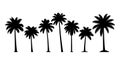 Tropical Palm Tree Silhouettes Vector Set Royalty Free Stock Photo