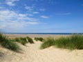 Holkham sand dunes, Norfolk Royalty Free Stock Photo