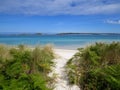 Pathway to the beach, Tresco, Isles of Scilly Royalty Free Stock Photo