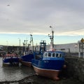 Blue Boats in Skerries Harbor, Ireland Royalty Free Stock Photo