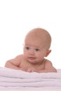 Vert serious baby on white Royalty Free Stock Photo