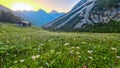 Vertatscha - Hiking trail along alpine meadow of daisy flowers at sunrise in untamed Karawanks